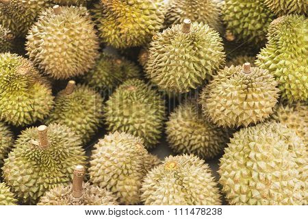 Asian Durian Fruit In Kep Cambodia Market