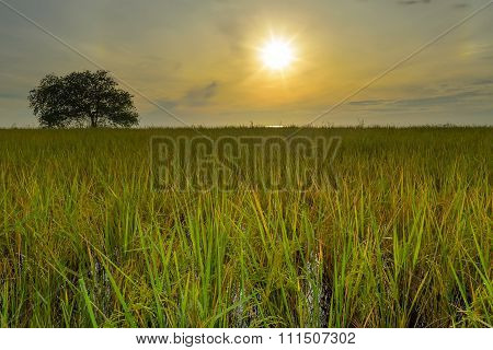 Beautiful sunrise above the sea