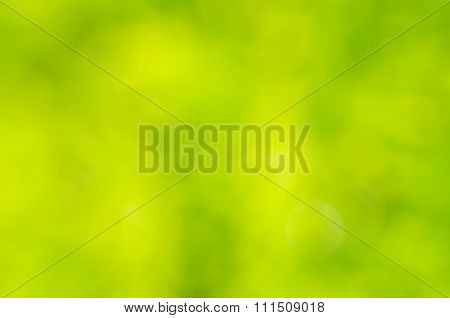 Green background