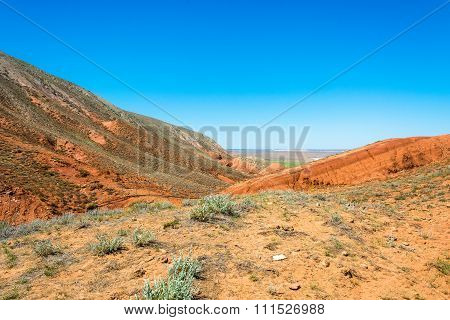 On Mount Big Bogdo.