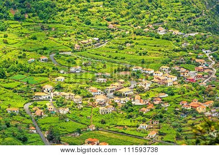 Madeira - Typical Landscape, Green Terraced Hills