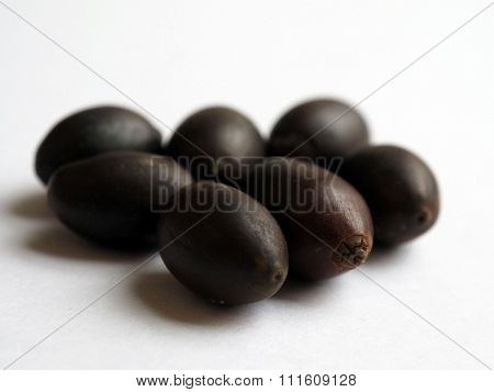 Seeds rare Asian Lotus macro.