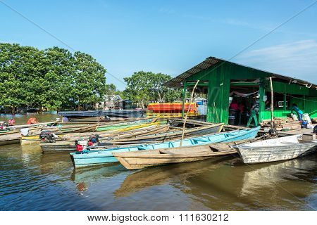 Amazon Rain Forest Port