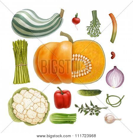 Hand drawn vegetables, isolated on transparent background: vegetable marrow, pumpkin, radish, asparagus, paprika, cucumber, garlic, ramson, bear's onion, bean, parsley, fennel, cauliflower