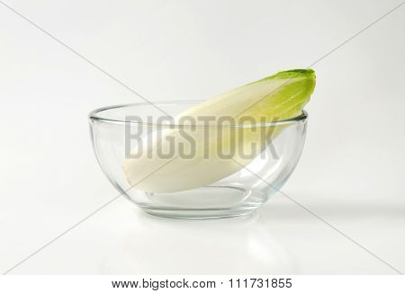 head of fresh belgian endive in glass bowl