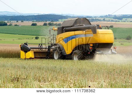 Combine Harvesting Rape