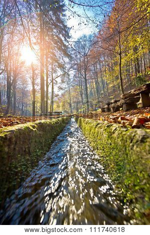 Medvednica Mountain Creek Vertical View