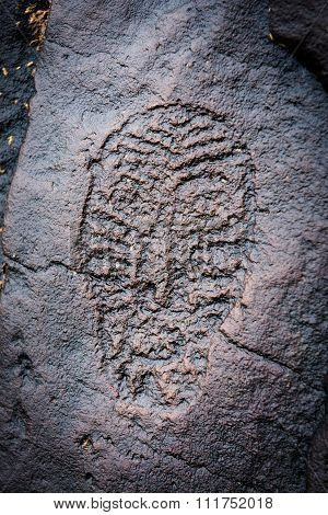 Ancient Petroglyphs Found On Shore Of Amure River.