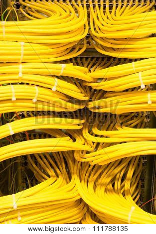 Network Hub and Switch