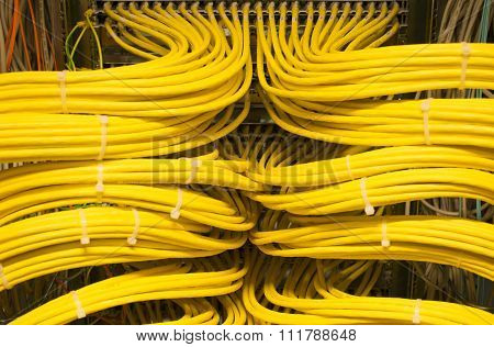 Network Hub and Switch