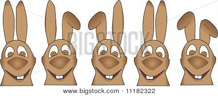 Sjove Bunnys vektor