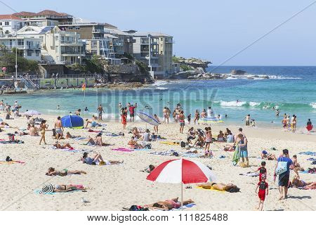 People swimming and sun bathing at Bondi Beach