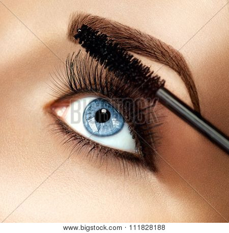 Mascara Makeup Applying closeup. Long Lashes closeup. Mascara Brush. Eyelashes extensions. Makeup for Blue Eyes. Eye Make up Apply 