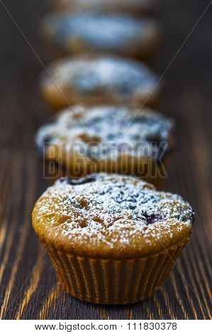 Muffins with black currants standing in a row