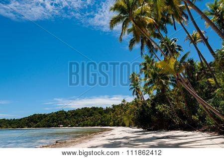 Palm trees at a Tropical Raja Ampat Beach with blue sky and ocean