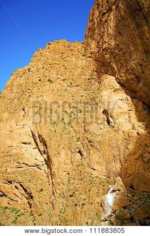 In Todra Africa Morocco   Atlas Dry Mountain