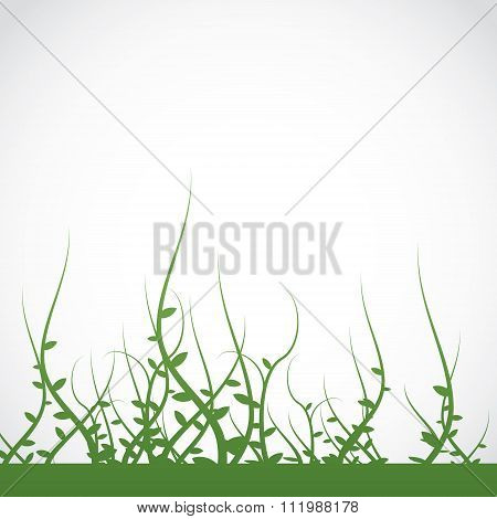 Growing Plants Weeds Background