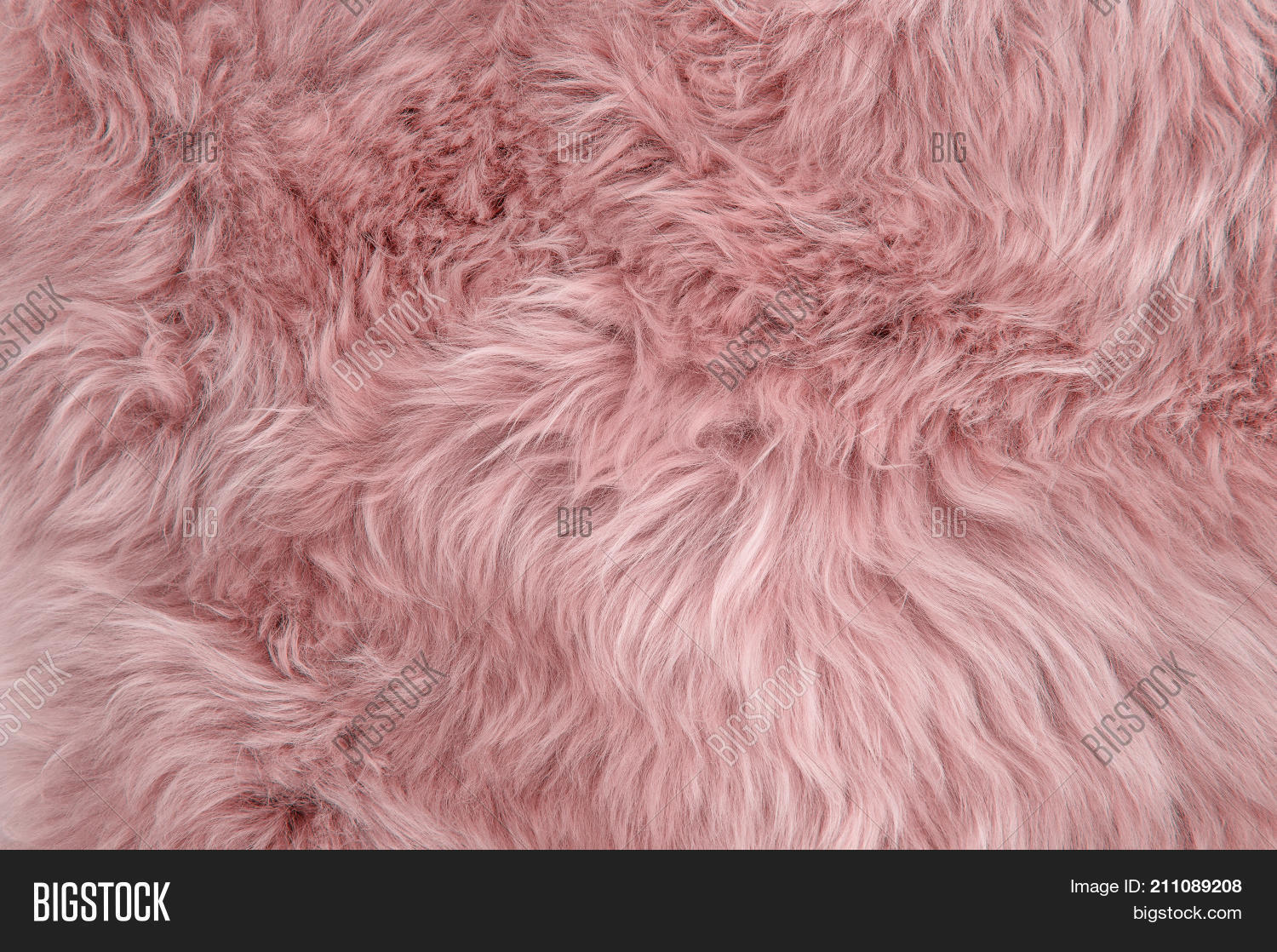 Pink Sheepskin Rug Image & Photo (Free Trial) Bigstock