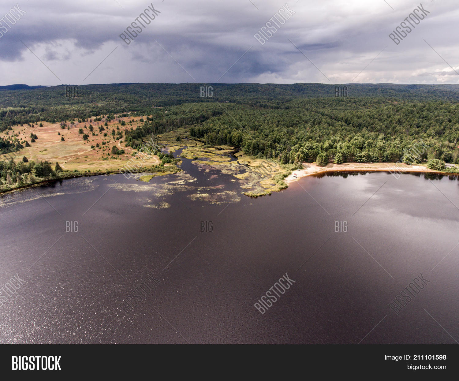 Image Preview