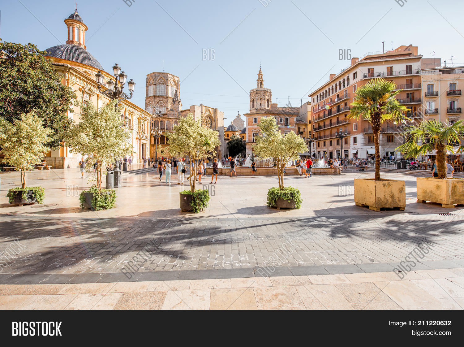 Image Preview