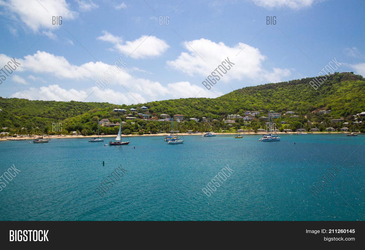 Image Preview