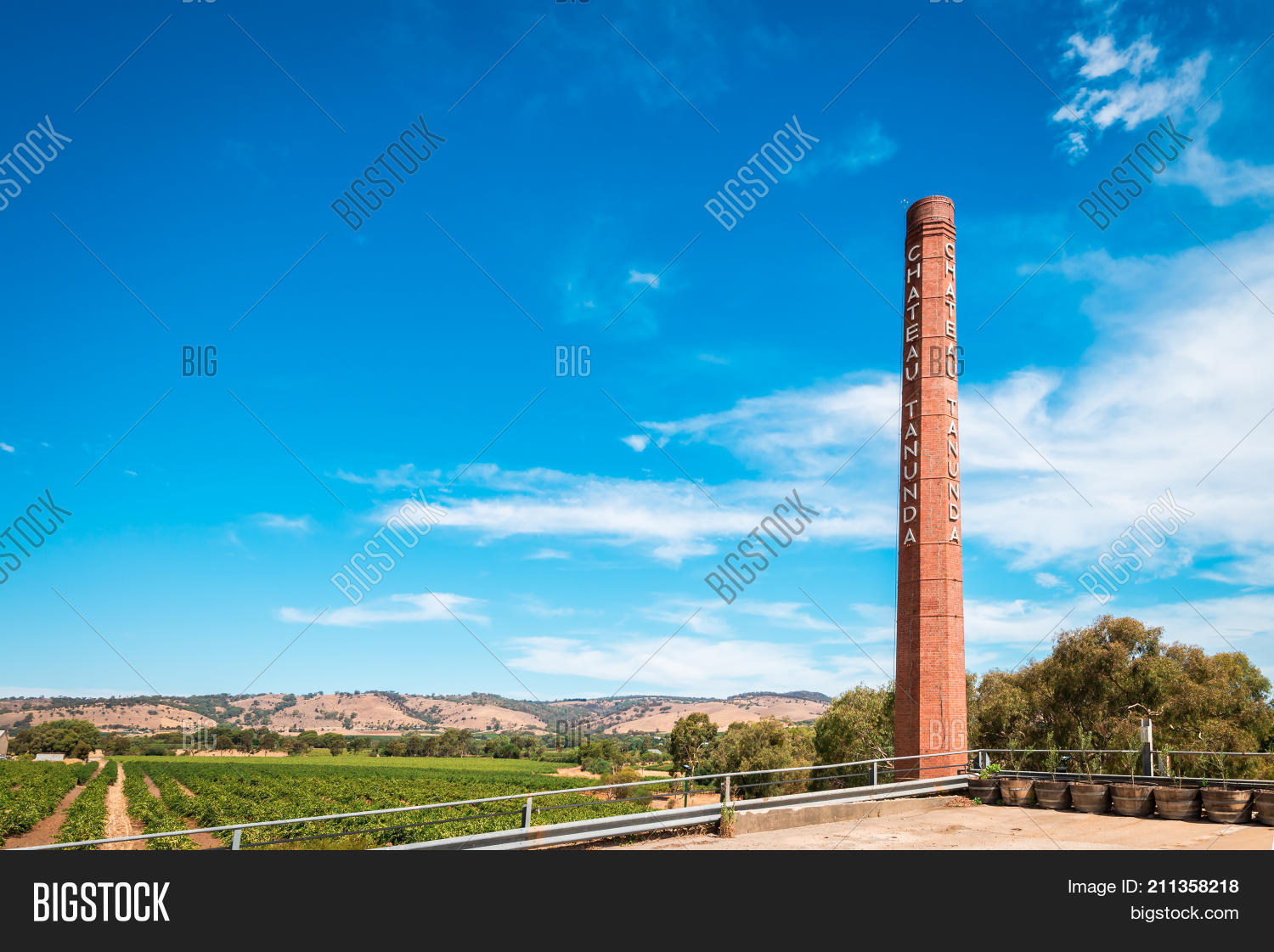 Image Preview