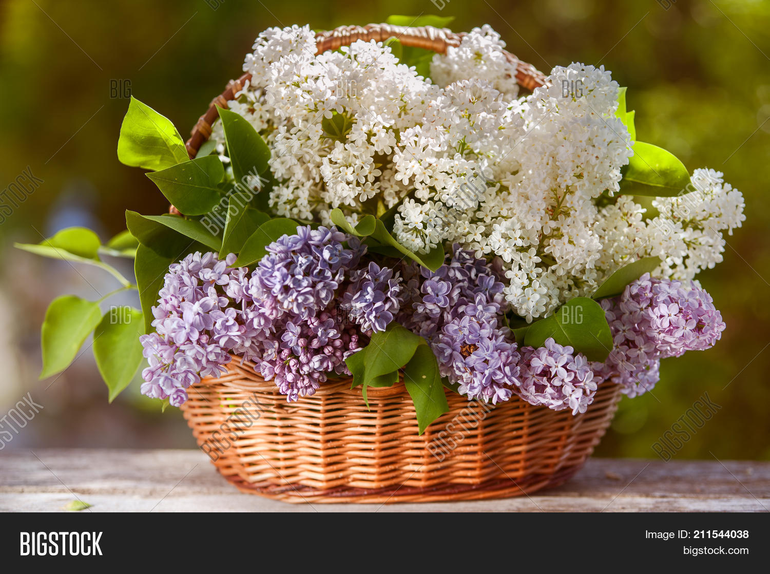 Image Preview