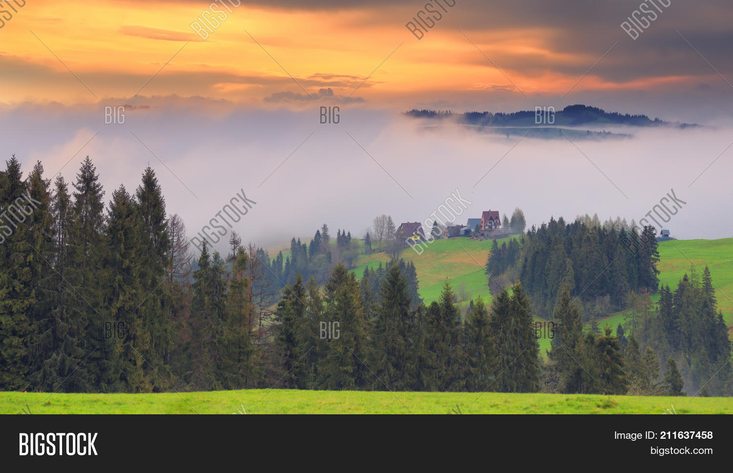 Image Preview