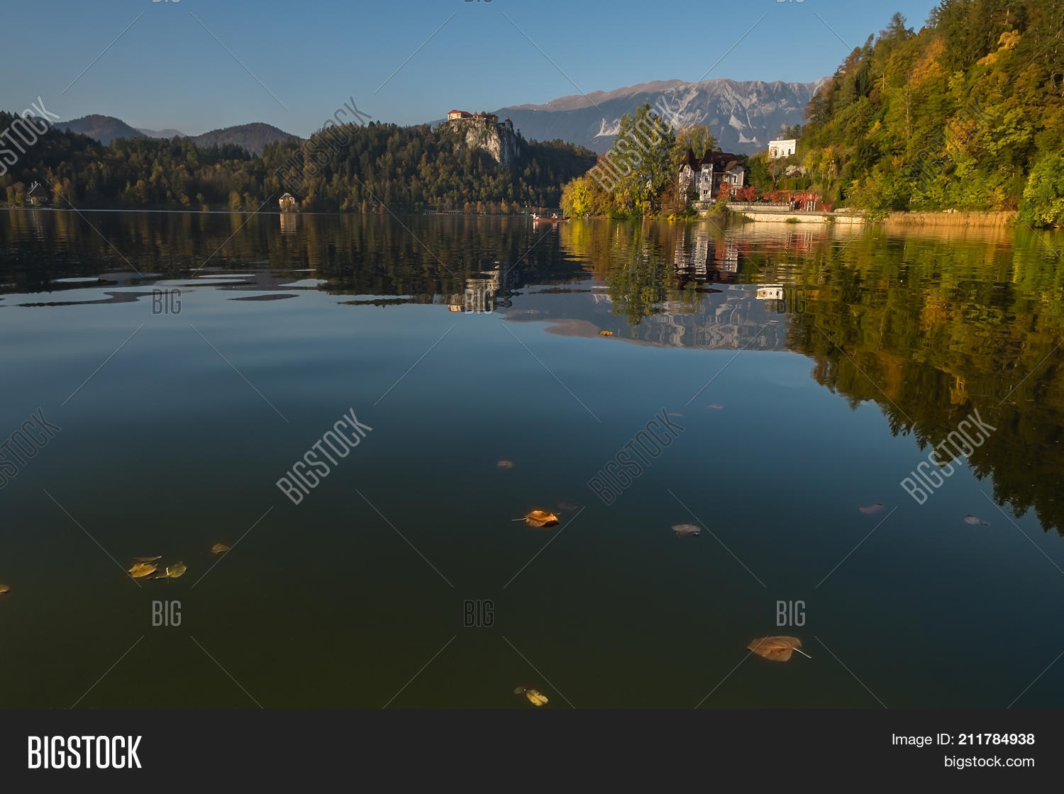 Image Preview
