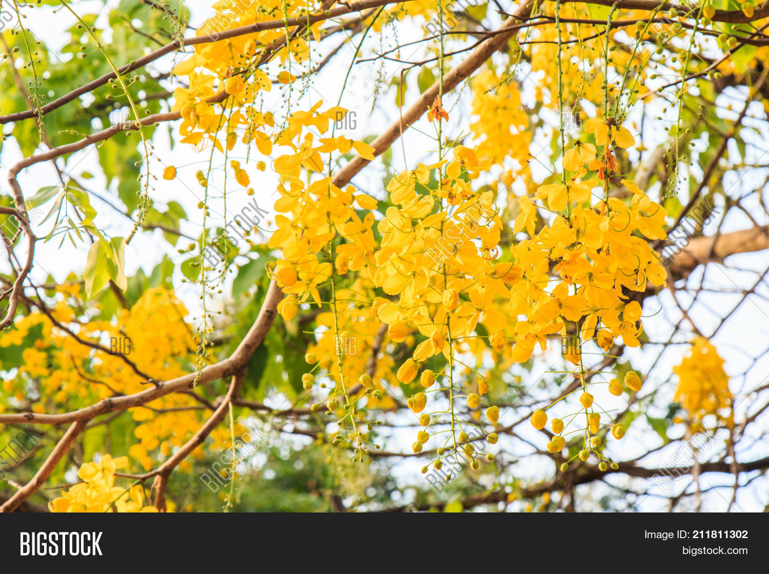 Are Free golden shower pic that Free golden shower pic doubtful