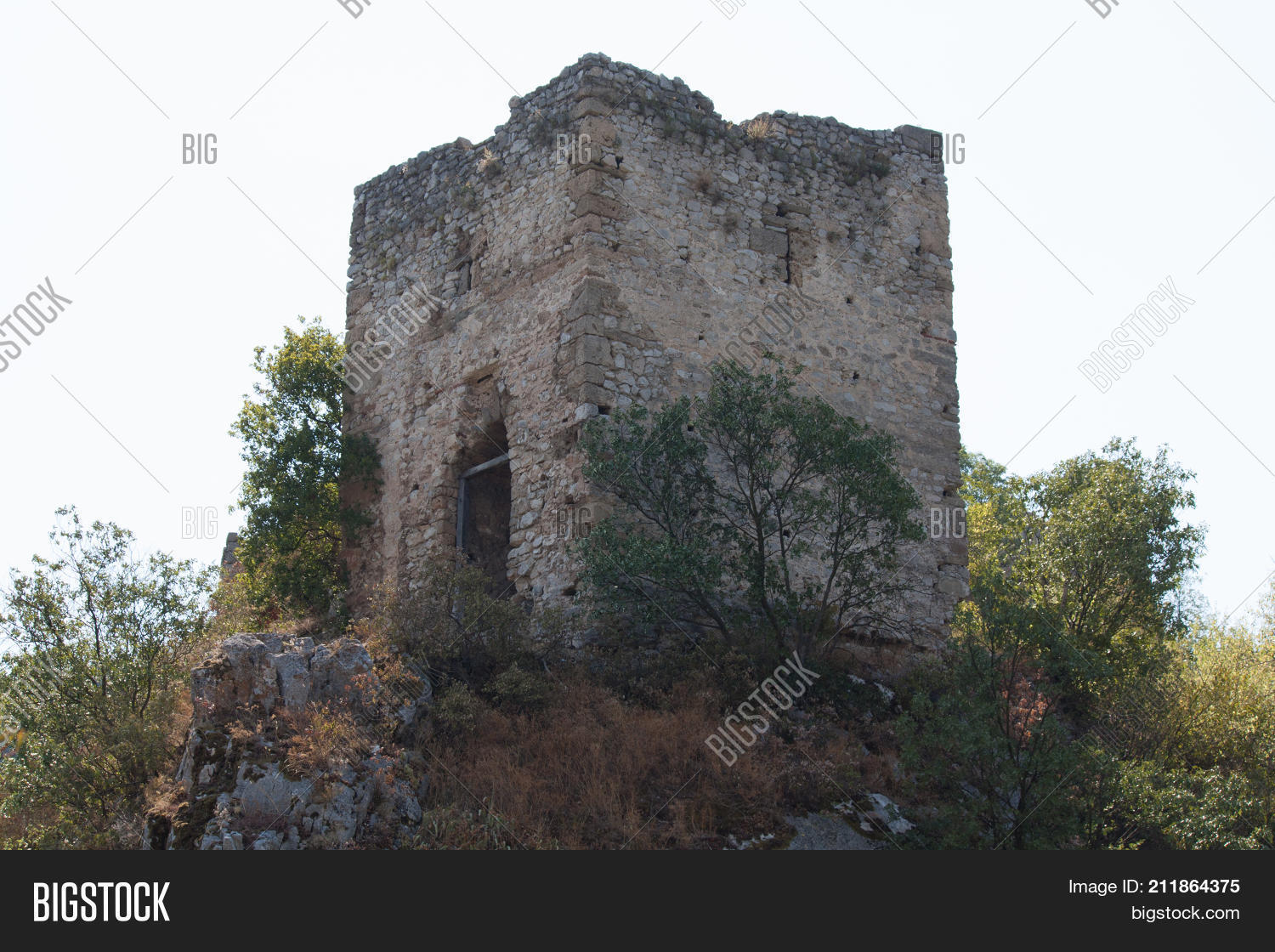 Image Preview