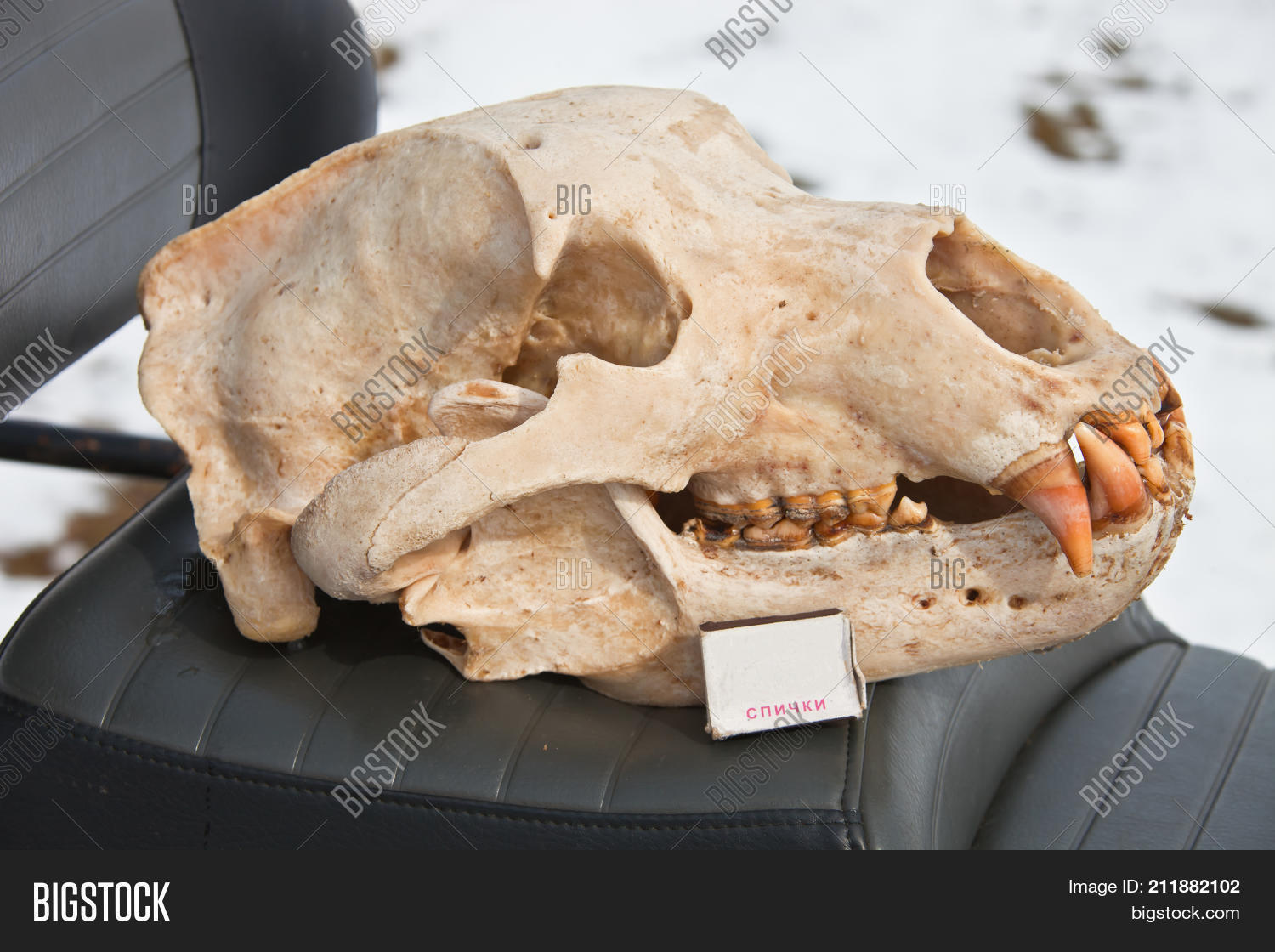 Image Preview