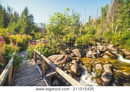 Old Wooden Bridge in Forest in Velicka Valley Leading to Gerlachovsky Peak High Tatras Slovakia