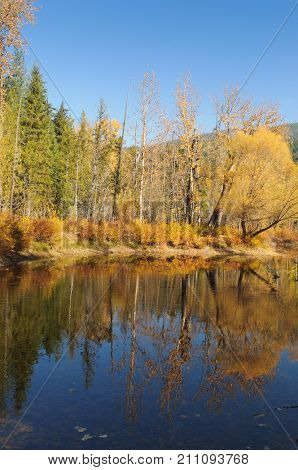 Fall colors around Moose Lake in Northern Idaho