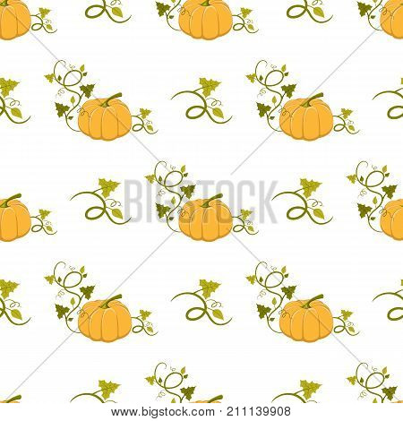 Big ripe pumpkin head with curly leafy stem endless texture. Floral seamless pattern on white background. Gourd plant vector illustration.