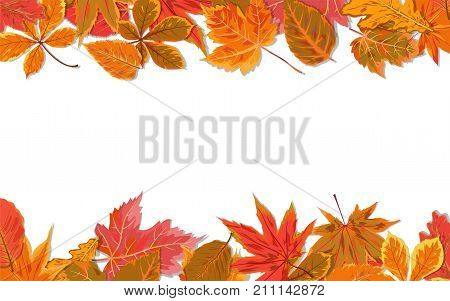 Vector autumn seasonal watercolor style Fall maple chestnut alder tree red orange color leaves border. Nature forest leaf foliage postcard banner decorative background frame.Natural beauty cute design
