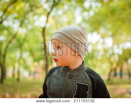 Little boy in gray suit close-up in autumn in park