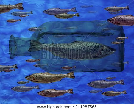 GREEN FISH TRAPPED IN BOTTLE SWIMMING IN OPPOSITE DIRECTION TO SHOAL OF RED FISH