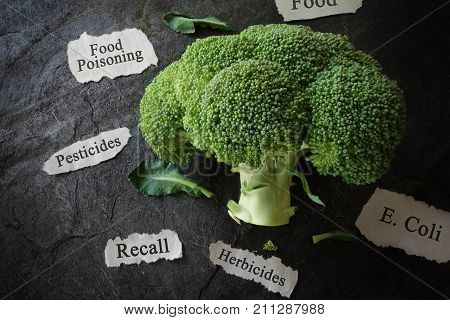 Broccoli with various food safety related news headlines