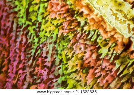 colorful microscopic shot of salt acid microcrystals in polarized light