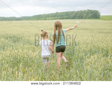 sisters walking through field, picking flowers, backshot