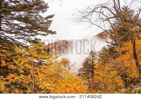 Fudodaki in autumn of Yonago Suzaka-shi Nagano PrefectureJapan.