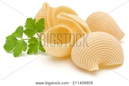 Italian lumaconi isolated on white background. Lumache, snailshell shaped pasta.