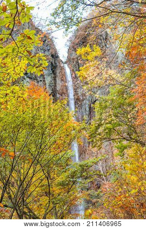 Fudodaki in authumn and waterfall background of Yonago Suzaka-shi Nagano PrefectureJapan.