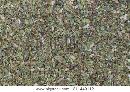 Oregano macro detail background picture detail close up