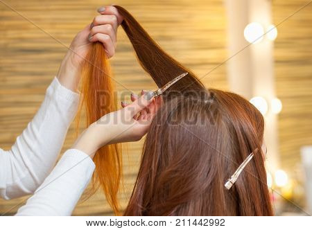 Hairdresser Combing Her Long, Red Hair Of His Client In The Beauty Salon. Professional Hair Care And