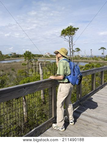 Mature man birdwatching with binoculars on elevated boardwalk at Big Lagoon State Park in Florida.