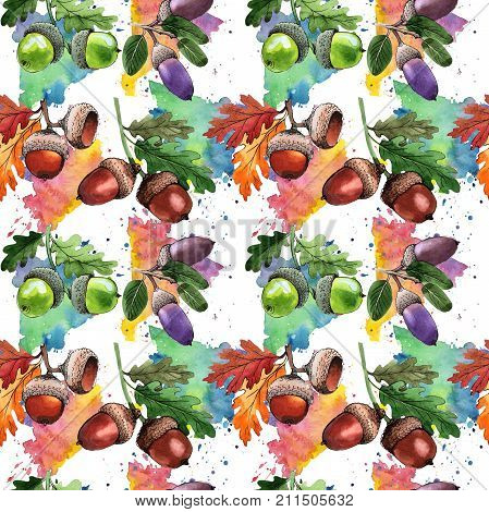 Forest acorn pattern pattern in a hand drawn watercolor style. Aquarelle acorn for background, texture, wrapper pattern, frame or border.