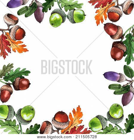 Forest acorn frame in a hand drawn watercolor style. Aquarelle acorn for background, texture, wrapper pattern, frame or border.