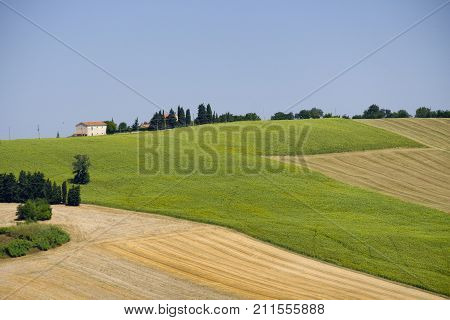 Rural landscape along the road from Appignano to Montecassiano (Ancona Marches Italy) at summer.